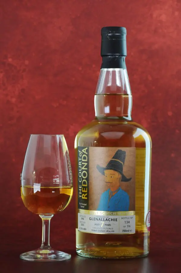 The Court of Redonda Glenallachie 7 year old - Image 3