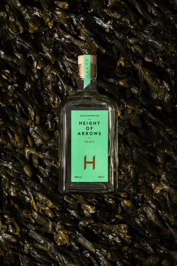 Height of Arrows Heavy Gin - Image 2